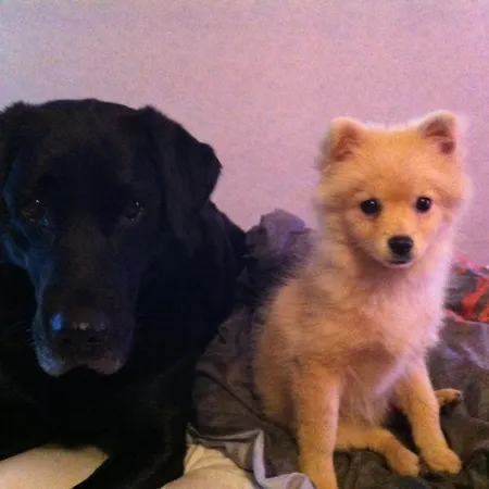 ホテル De La Gare Sainte-Gauburge-Sainte-Colombe