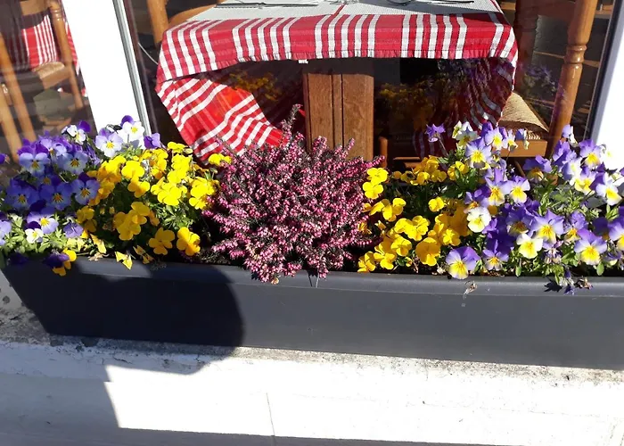 De La Gare 호텔 Sainte-Gauburge-Sainte-Colombe