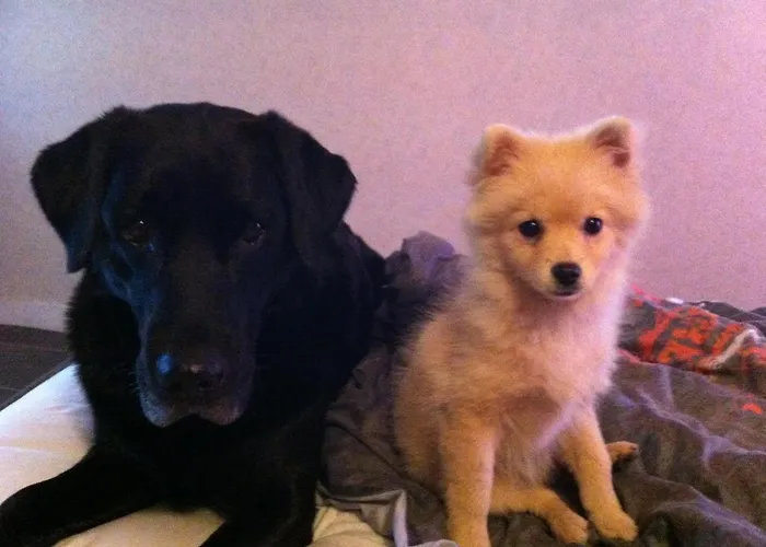 호텔 De La Gare Sainte-Gauburge-Sainte-Colombe